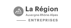 logo Auvergne Rhône Alpes Entreprises, agence économique régionale.